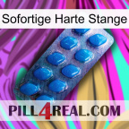 Instant Hard Rod viagra1